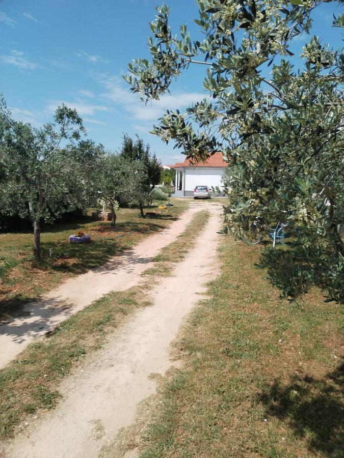 Grbic Apartament